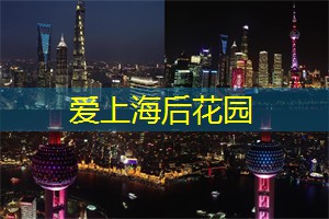 爱上海：上海向来以其繁华和现代感而闻名