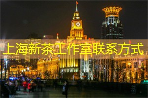 爱上海：新茶工作室等你来探索
