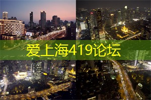 爱上海龙凤419：这一年